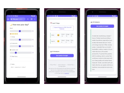 flday.app - Mood, energy, and productivity tracker with an AI assistant